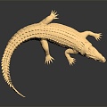 Modern Crocodile Alligator Nile Crocodile carnivore 3d model