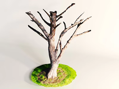 Bare Arbor Tree With Sturdy Trunk And Branches On Green Grass Base 3d model