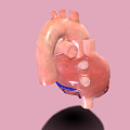 The Modern Heart 3d model