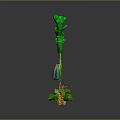 Various Green Plants With Different Shapes Including Cactus and Colorful Yellow Red Accents