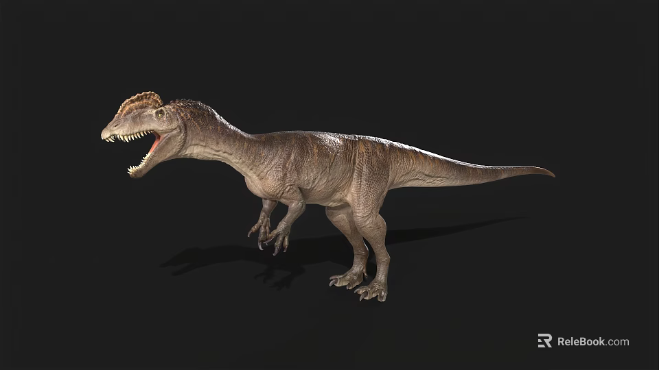 Realistic Carnivorous Dinosaur 3D Model With Open Mouth And Textured Skin 3d model 
