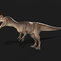 Realistic Carnivorous Dinosaur 3D Model With Open Mouth And Textured Skin