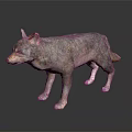 Realistic 3D Wolf Model with Detailed Fur and Natural Standing Posture 3d model