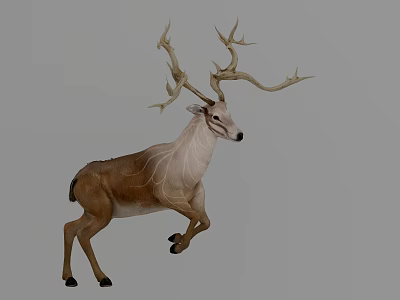 Modern Deer Fawn Crash 3d model Modern Deer Fawn Crash 3d model