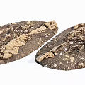 Stone Wood with Natural Rough Surface and Decorative Textural Design 3d model