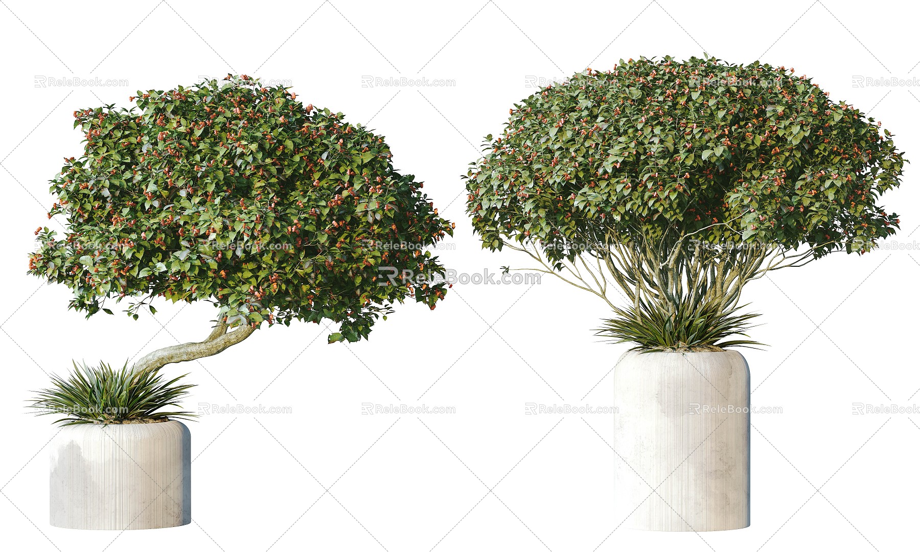 Modern Plant Potted Plant Green Plant Flowers Flowers Trees Plant Green Plant Wall Plant Pot 3d model