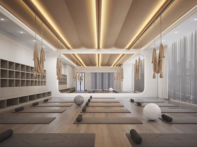 Modern Yoga Fitness Studio with Wooden Floors Yoga Mats Exercise Balls and Storage Shelves 3d model