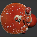 Red White Spotted Vegetable Mushrooms with Different Sizes on Dark Background 3d model