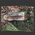 Ancient Stone Architectural Structure With Moss Covered Surface Red Markings And Green Plant Surroundings