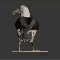 Seabird Taxidermy Specimen Perched On Wooden Base Against Gray Background
