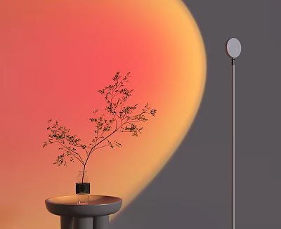 Modern Floor Lamp with Small Round Table Potted Plant and Gradient Orange Pink Background 3d model