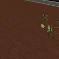 Polished Wooden Floor Surface With Fresh Green Plant Branch