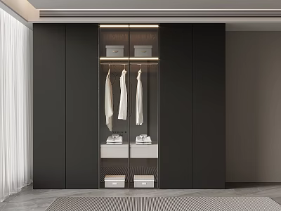 Modern Closet Interior Design With Black Wardrobe Hanging Clothes And Drawers 3d model