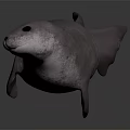 High Quality 3D Seal Character Model With Realistic Gray Color And Detailed Features