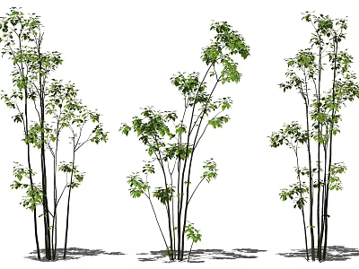 Modern tree landscape tree sapling 3d model