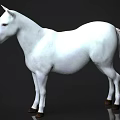 White Horse 3D Model With Glossy White Coat And Brown Hooves Standing Still