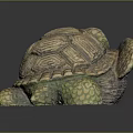Turtle Shaped Decorative Ornament For Home Furniture With Green Brown Textured Shell
