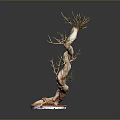 Bonsai Plant With Twisted Trunk And Small Green Branches In Red Pot