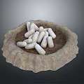 Rough Textured Bowl Shaped Container Holding White Elongated Larvae Creatures 3d model