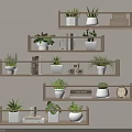 Wall Mounted Wooden Shelves With Potted Plants Books And Decorative Items For Home Decor