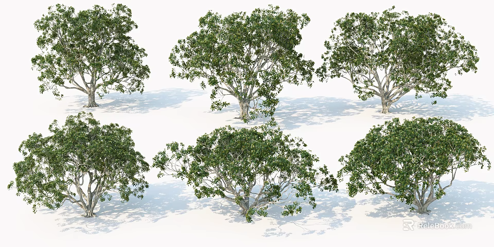 Trees With Green Foliage In Various Shapes And Sizes On White Background 3d model 