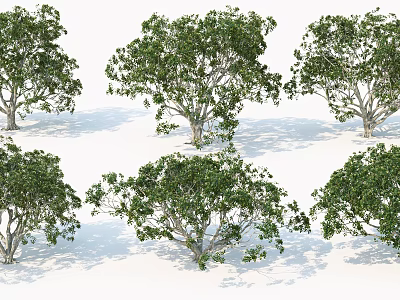 Trees With Green Foliage In Various Shapes And Sizes On White Background 3d model