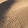 Vast Desert Landscape With Rolling Sand Dunes And Lone Person Standing