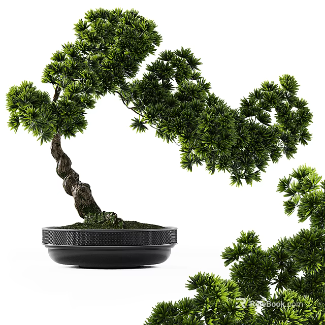 Curved Trunk Bonsai Plant With Green Leaves In Black Textured Pot 3d model 