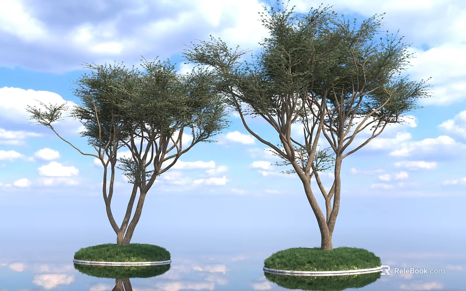 Tall Trees with Circular Grassy Bases and Reflection on Water Under Blue Sky 3d model 