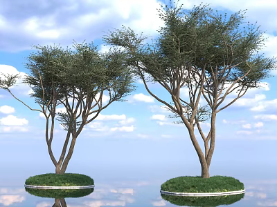 Tall Trees with Circular Grassy Bases and Reflection on Water Under Blue Sky 3d model