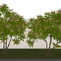 Modern Landscape Plants Arbor Ornamental Trees Street Trees Green Planting 3d model