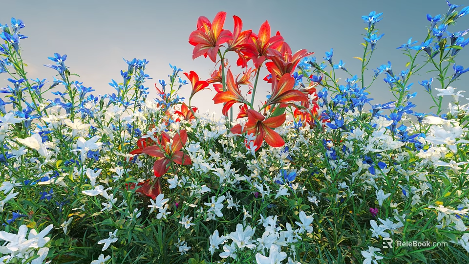Vibrant Red Lilies Blue Flowers And White Blooms In Natural Garden With Green Leaves 3d model 