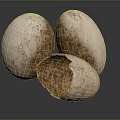 Egg Cartoon Egg with Egg Shell Chick Quail Egg Duck Egg Goose Egg 3d model