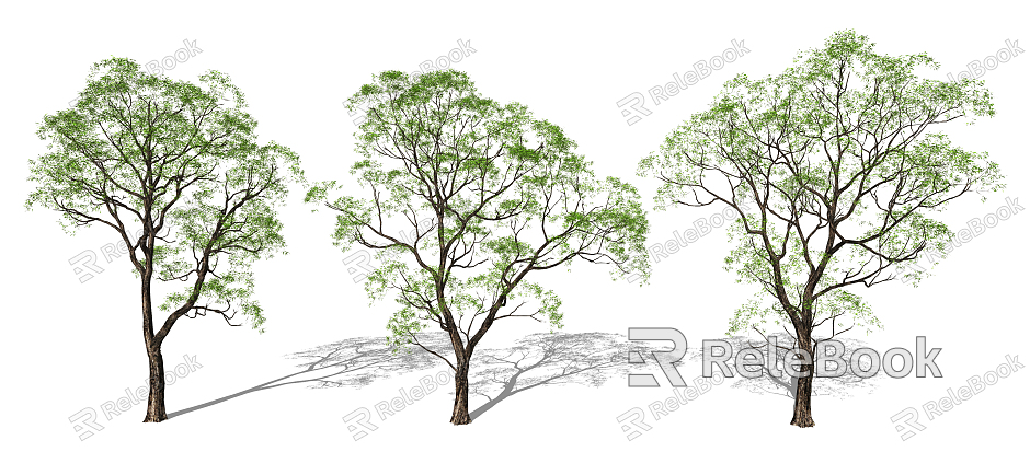 Modern Tree Modeling Landscape Trees Big Trees Big Trees Landscape Plants model