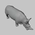 Detailed Realistic 3D Rhinoceros Model With Horns Standing On Black Background