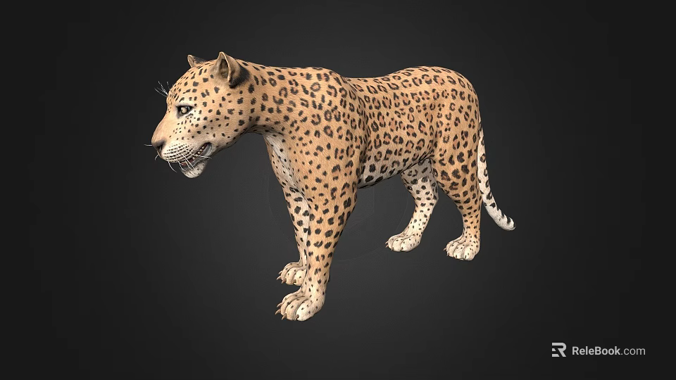 Detailed Realistic 3D Leopard Model With Spotted Fur And Lifelike Stance 3d model 