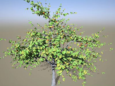 Fruit Tree With Green Leaves And Ripe Red Fruits Growing In Natural Outdoor Environment 3d model