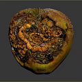 Detailed View of Rotten Apple with Moldy Spots and Decayed Flesh on Dark Background
