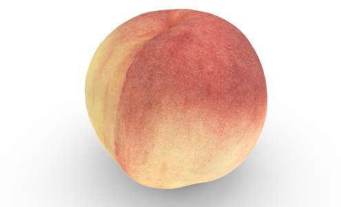 Modern Peach 3d model