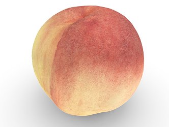 Modern Peach 3d model