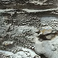 Natural Honeycomb Rock Formation With Unique Hole Patterns And Detailed Textures