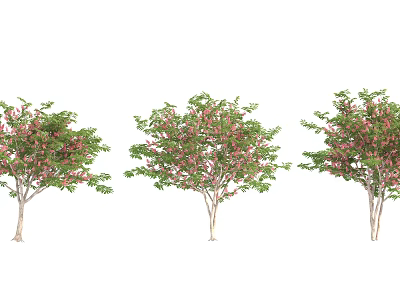 Three Arbors With Pink Flowers And Green Leaves In Natural Landscape 3d model