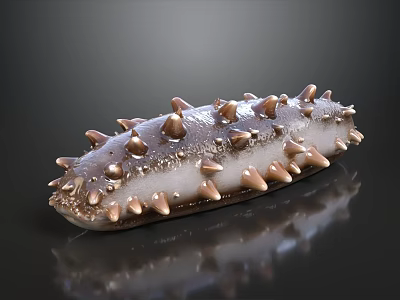 Spiky Brown And White Sea Cucumber On Smooth Black Surface 3d model
