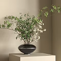 Floral Art Display With Green Branches White Flowers In Black Vase On Light Cube Stand