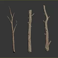 Dried Plant Branches with Natural Texture for Home Decor on Smooth Dark Surface