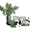 Stylish Bathroom Accessories With Green Plant Vase Soap Dish Hand Soap Bottles And Rolled Towel