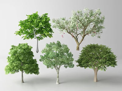 Various Arbor Trees Showcased With Green Foliage And Different Crown Shapes 3d model