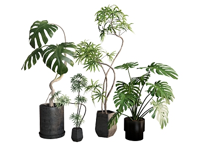 plant combination tropical plant flowerpot green plant model