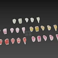 Colorful Flower Petals in Various Shades Arranged Neatly on Black Background