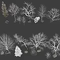 Various Arbor Tree Types with Different Shapes and Snow Covered Branches 3d model